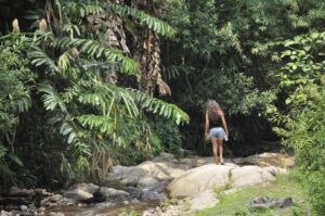 הלכתם לאיבוד?